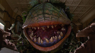 How Carnivorous Plants Developed a Thirst for Blood